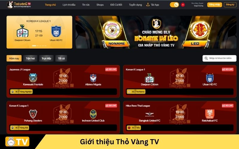 thỏ vàng tv